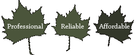 tree surgeon wirral