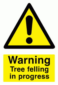 tree felling in Bebington
