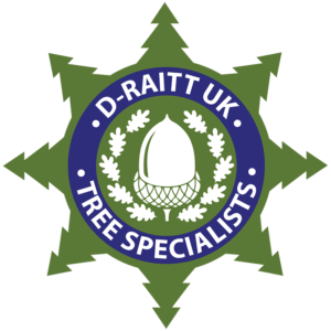tree surgeon wirral