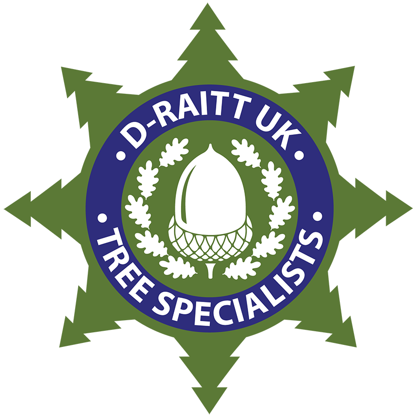TRUSTED BY WOODLANDS FOR CROWN THINNING IN CARDIFF