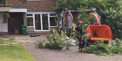 trusted tree surgeons covering cardiff and south wales